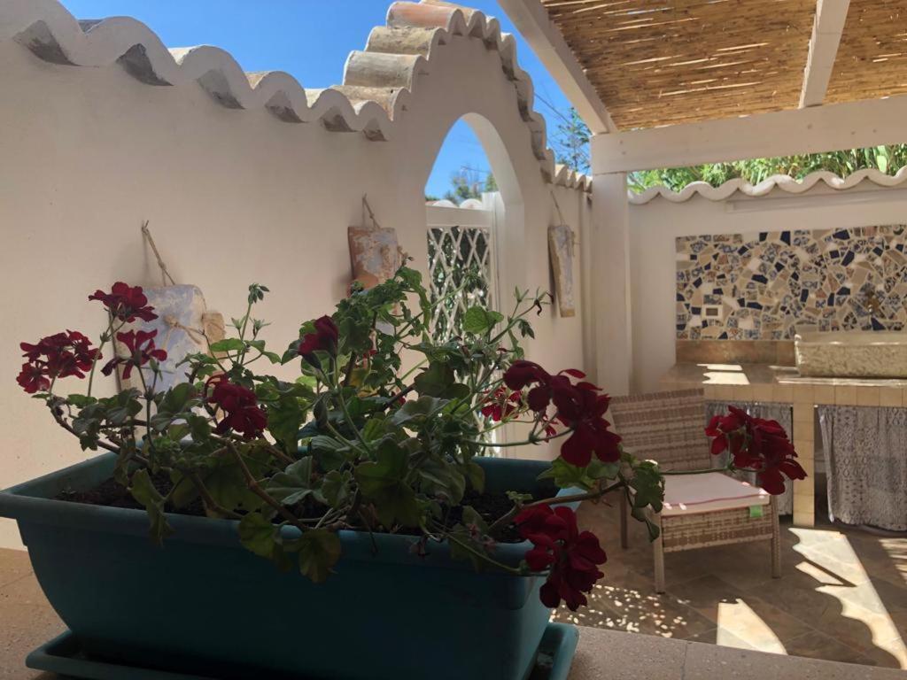 Villa Cala Marina Holidays Trappeto  Exterior foto